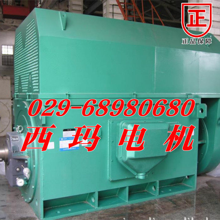 Y.YKS5603-6/1400KW/6KV/IP55/IMB3ɶ