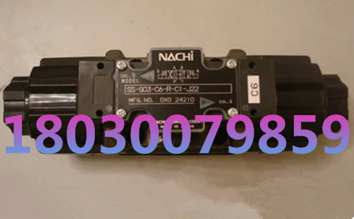 NACHiԽEPR-G01-3-1212S-12ϵֻŷ