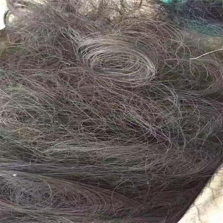 ˿գƬգⶥͷռ۸