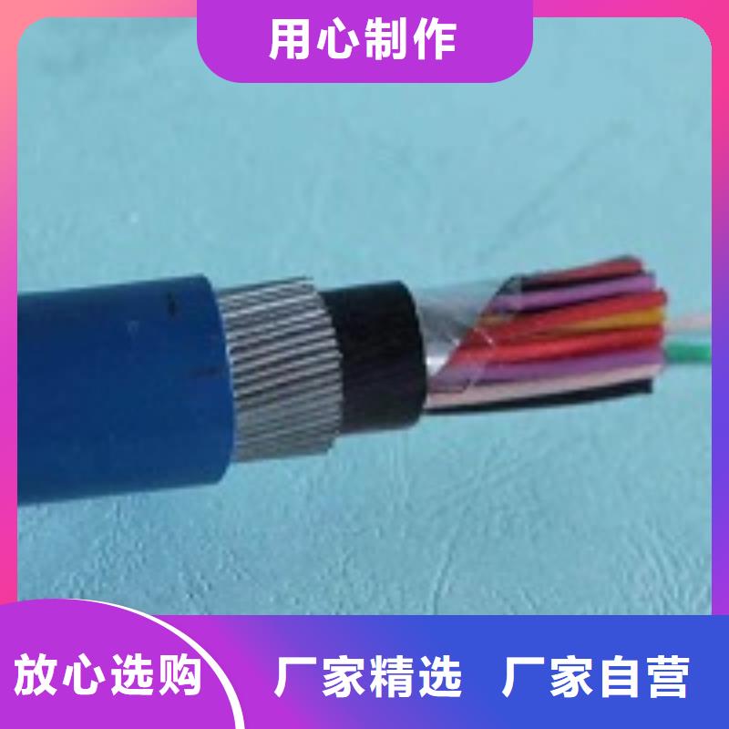 ѹVV22-0.6/1KV-5X1.5