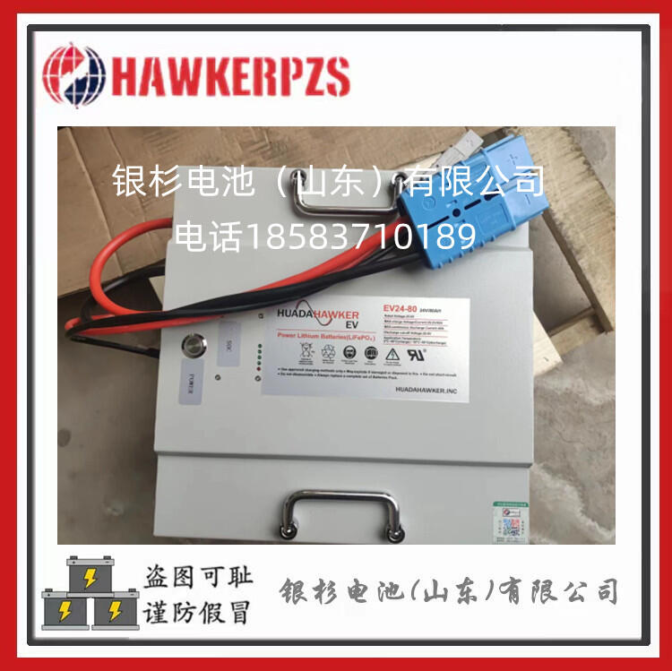 ӢHawKer﮵EV24-100 24V100AH EV24-100