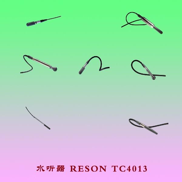 ˮ RESON TC4013Ʒ