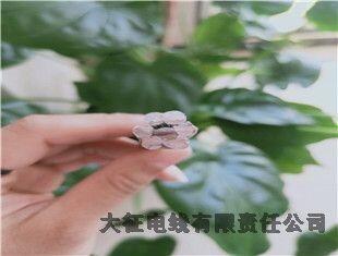 ADSS³ҿ绰