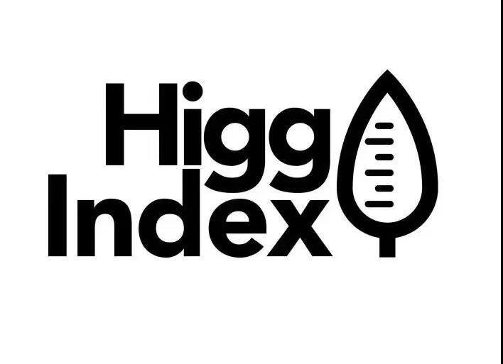 Higg Index֤鳧FEMҪ