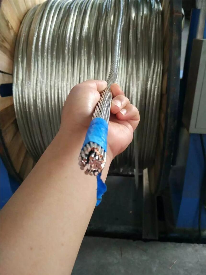 ͭ ӵͭ TJ150mm2 185mm2ʢͨ