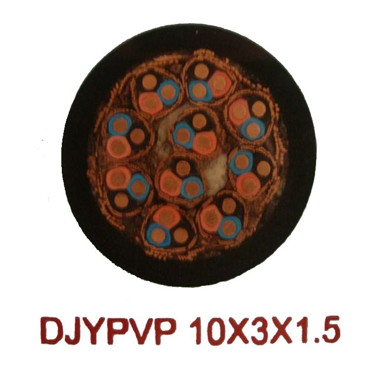 DJYVP1*2*1źż¶