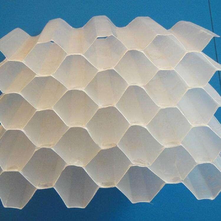 ï бPP طбֱ