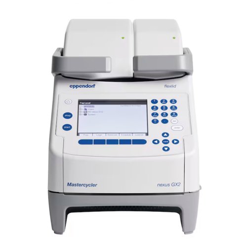 ¹EppendorfMastercyclernexusX2PCR