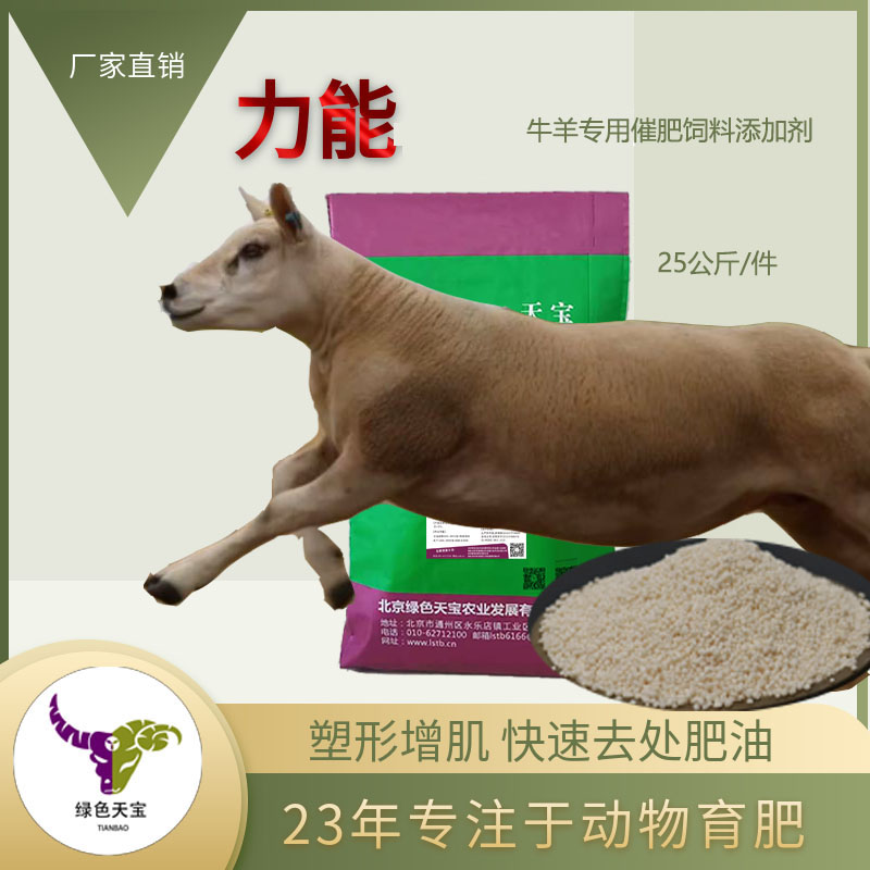 Ĥһڳţ߷һ20
